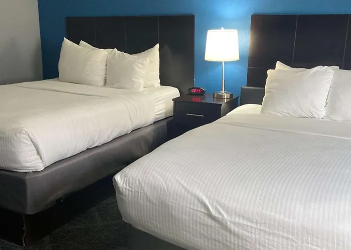 Best Western Rochester Hotel Mayo Clinic Area/ St. Mary\'S